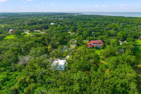 Terreno en venta en Oldsmar, Florida № 1334866 - foto 5