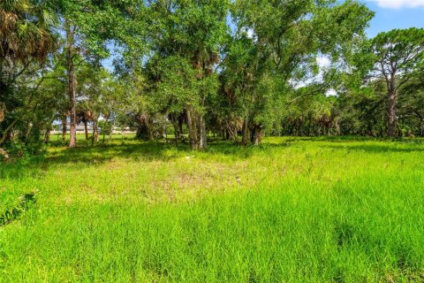 Terreno en venta en Oldsmar, Florida № 1334866 - foto 2