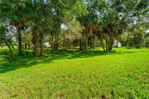 Terreno en venta en Oldsmar, Florida № 1334866 - foto 3