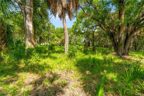 Terreno en venta en Oldsmar, Florida № 1334866 - foto 4