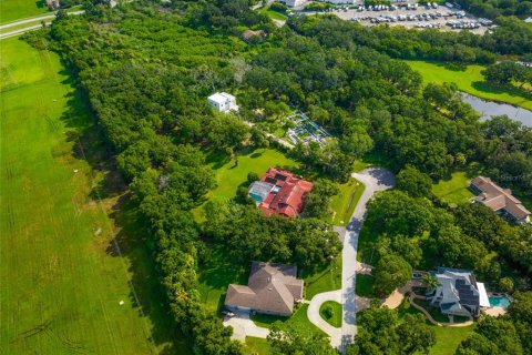 Terreno en venta en Oldsmar, Florida № 1334866 - foto 8