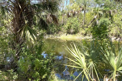 Terreno en venta en Port Charlotte, Florida № 2163926 - foto 9