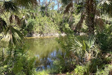 Terreno en venta en Port Charlotte, Florida № 2163926 - foto 7