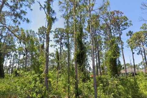 Land in Port Charlotte, Florida № 2159431