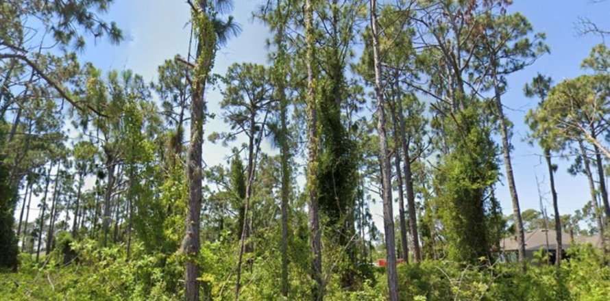 Land in Port Charlotte, Florida № 2159431