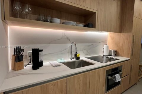 Studio à Condo à Miami, Floride № 2152872