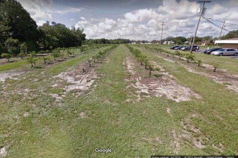 Land in Sebring, Florida № 2122065 - photo 2