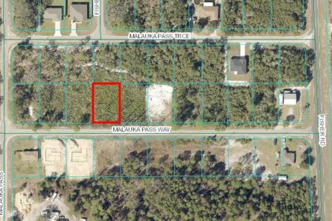 Land in Ocklawaha, Florida № 2163669