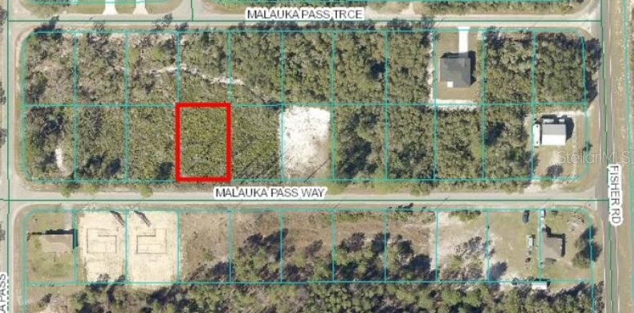 Land in Ocklawaha, Florida № 2163669