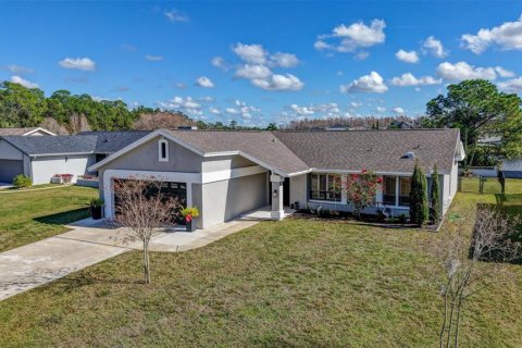 Villa ou maison à louer à New Port Richey, Floride: 3 chambres, 191.1 m2 № 2411390 - photo 3