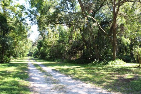 Terreno en venta en Brooksville, Florida № 2200964 - foto 2