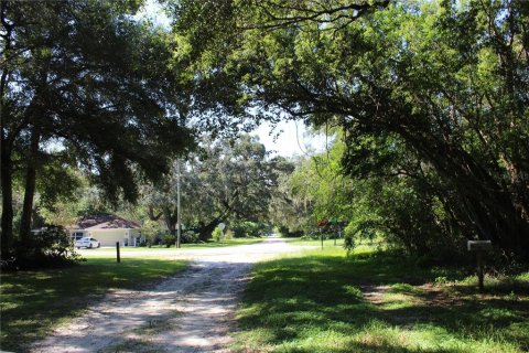 Terrain à Brooksville, Floride № 2200964