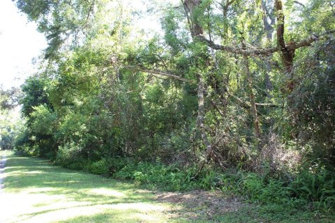 Terreno en venta en Brooksville, Florida № 2200964 - foto 3