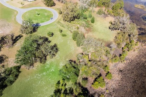 Land in Howey-in-the-Hills, Florida № 1883371 - photo 13
