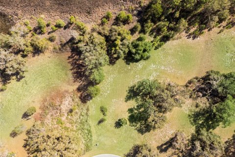 Land in Howey-in-the-Hills, Florida № 1883371 - photo 14
