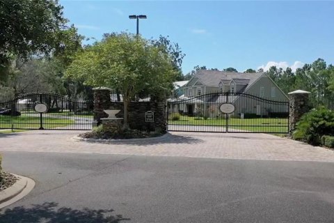 Land in Howey-in-the-Hills, Florida № 1883371 - photo 3