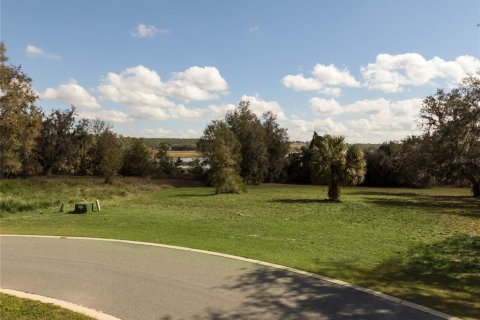 Land in Howey-in-the-Hills, Florida № 1883371 - photo 18