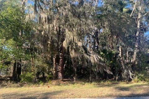 Land in Ocala, Florida № 2234995
