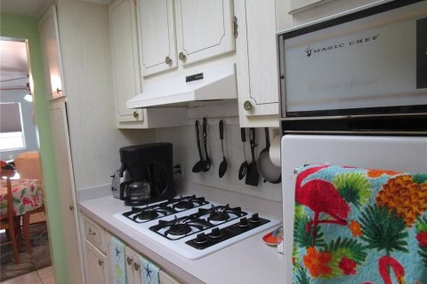 Condo in Saint Petersburg, Florida, 2 bedrooms  № 870105 - photo 10