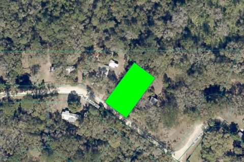 Land in Silver Springs Shores, Florida № 2159684 - photo 2