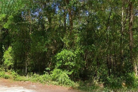 Land in Silver Springs Shores, Florida № 2159684
