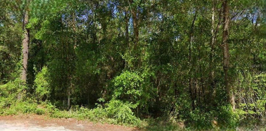Land in Silver Springs Shores, Florida № 2159684