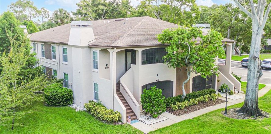 Condo à Palm Harbor, Floride, 2 chambres  № 1907470