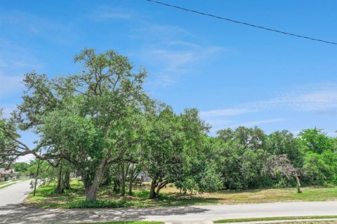 Terrain à vendre à Haines City, Floride № 2097474 - photo 6