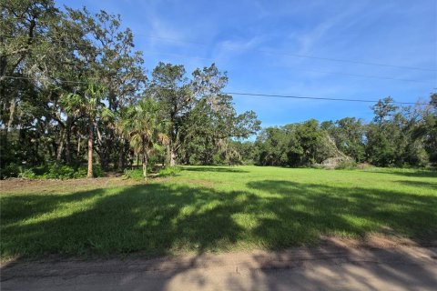 Terreno en venta en Umatilla, Florida № 1915180 - foto 5