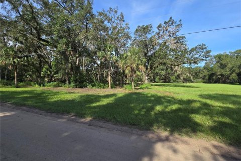 Terreno en venta en Umatilla, Florida № 1915180 - foto 4