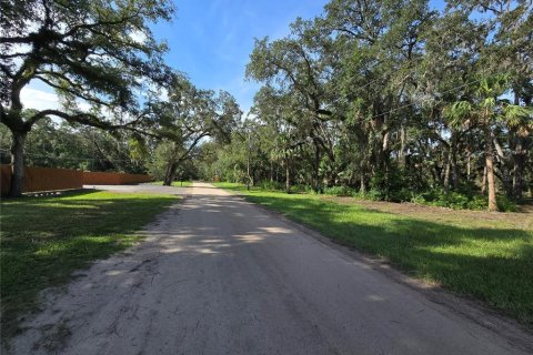 Terreno en venta en Umatilla, Florida № 1915180 - foto 7