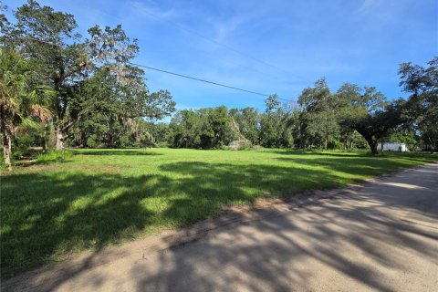 Terreno en venta en Umatilla, Florida № 1915180 - foto 9
