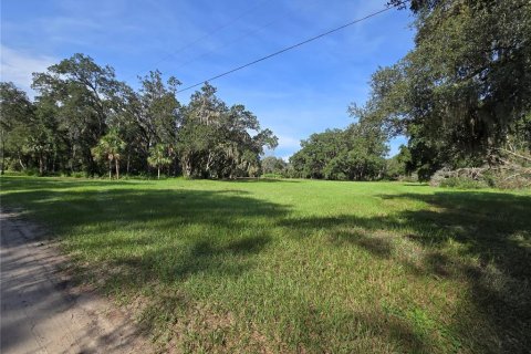 Terreno en venta en Umatilla, Florida № 1915180 - foto 3