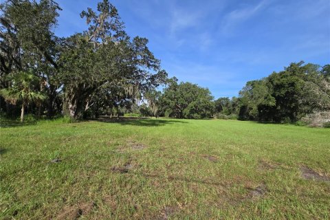 Terreno en venta en Umatilla, Florida № 1915180 - foto 10