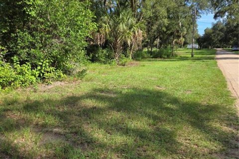 Terreno en venta en Umatilla, Florida № 1915180 - foto 18