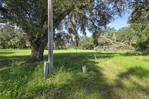 Terreno en venta en Umatilla, Florida № 1915180 - foto 12