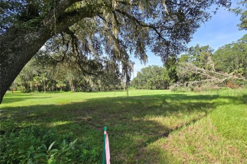 Terreno en venta en Umatilla, Florida № 1915180 - foto 13