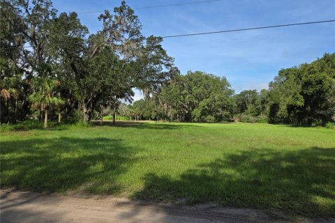 Terreno en venta en Umatilla, Florida № 1915180 - foto 1