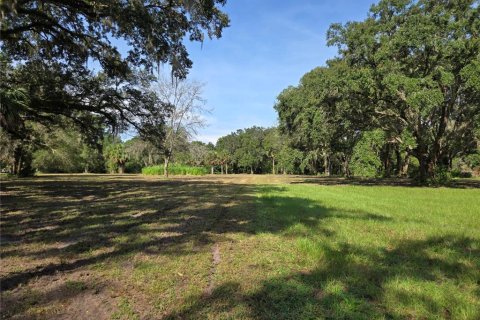 Terreno en venta en Umatilla, Florida № 1915180 - foto 16