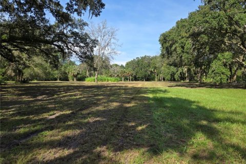 Terreno en venta en Umatilla, Florida № 1915180 - foto 17