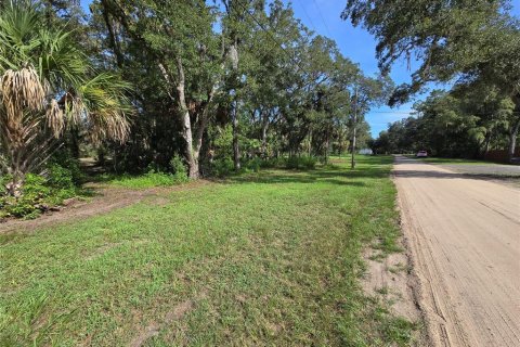 Terreno en venta en Umatilla, Florida № 1915180 - foto 8