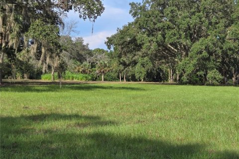 Terreno en venta en Umatilla, Florida № 1915180 - foto 11