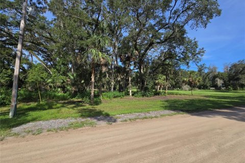 Terreno en venta en Umatilla, Florida № 1915180 - foto 6