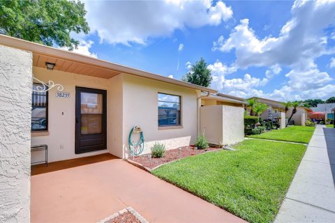 Condo in Zephyrhills, Florida, 2 bedrooms  № 2098033