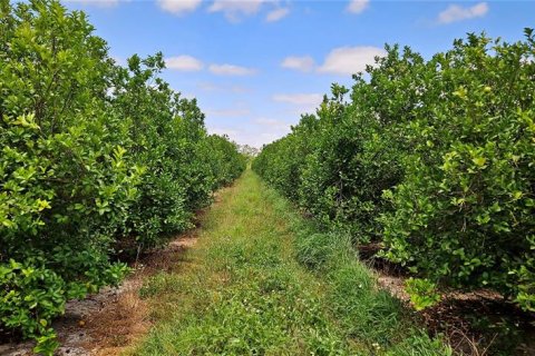 Land in St. Lucie, Florida № 1680744 - photo 2