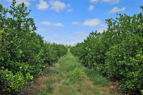 Land in St. Lucie, Florida № 1680744 - photo 3