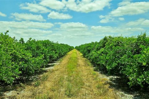 Land in St. Lucie, Florida № 1680744 - photo 4