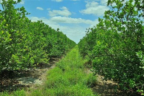 Land in St. Lucie, Florida № 1680744 - photo 5
