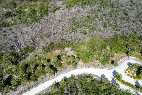Land in Lake Placid, Florida № 1772938 - photo 3