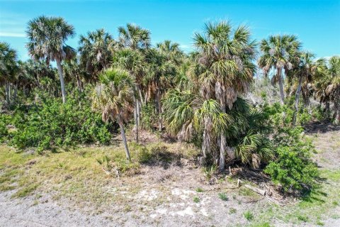 Land in Lake Placid, Florida № 1772938 - photo 7